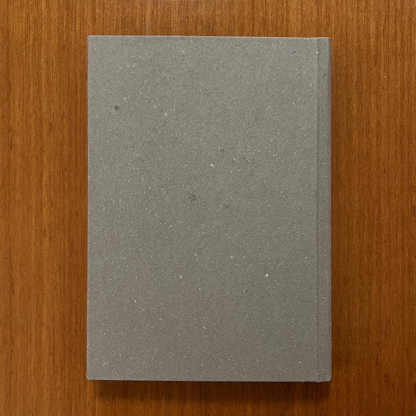 Diario Quaderno 10x15 copertina stampata Gatto Cucù 144 pagine a righe - immagine 6