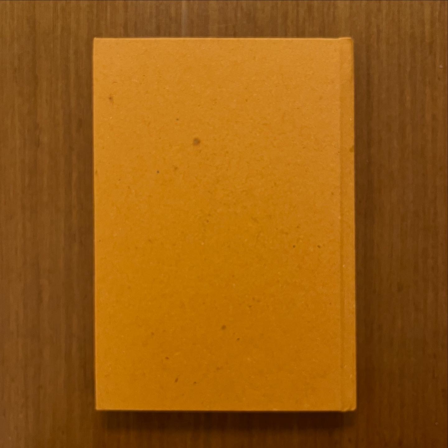 Diario Quaderno 10x15 copertina stampata Anubi 144 pagine a righe - immagine 4