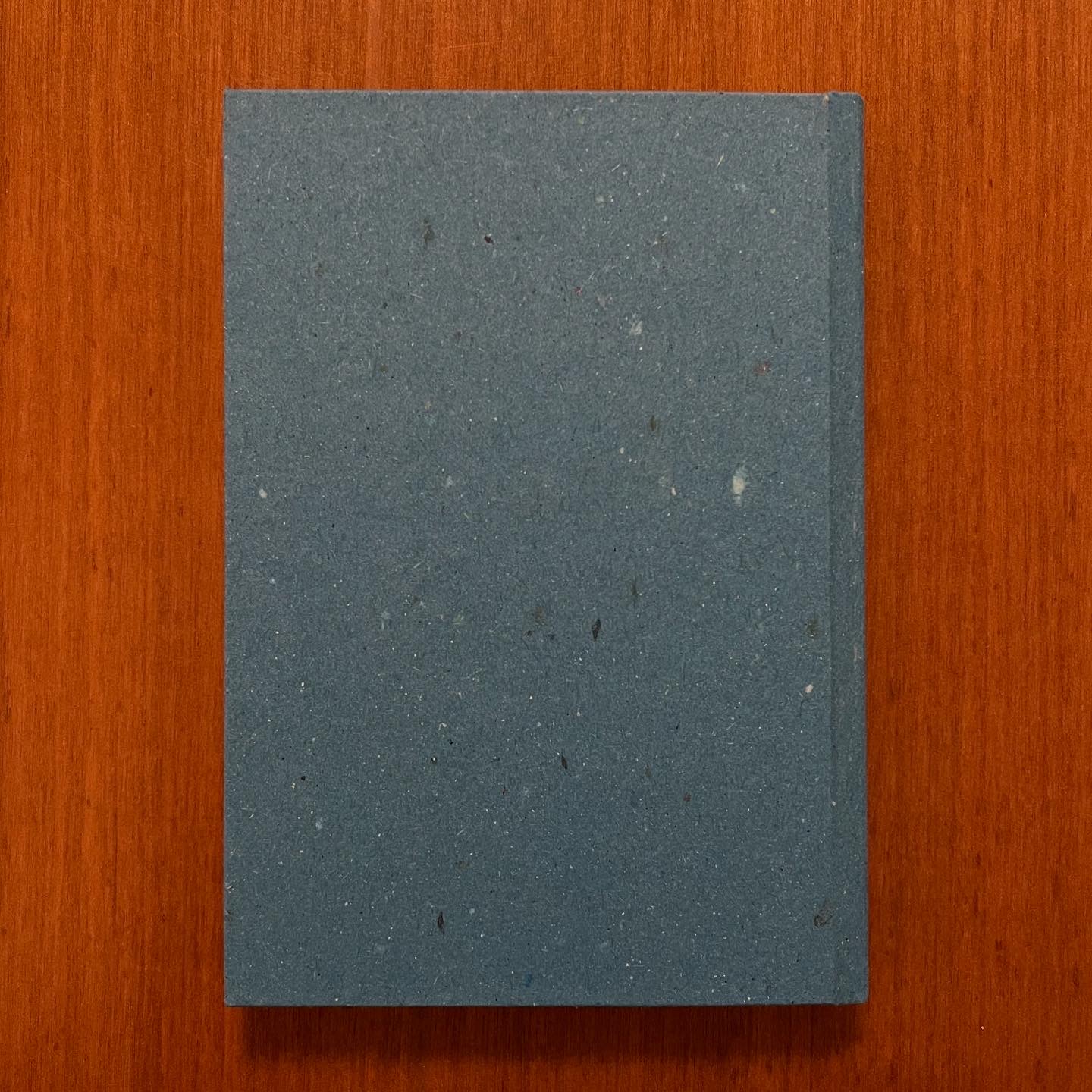 Diario Quaderno 10x15 copertina stampata Anubi 144 pagine a righe - immagine 10