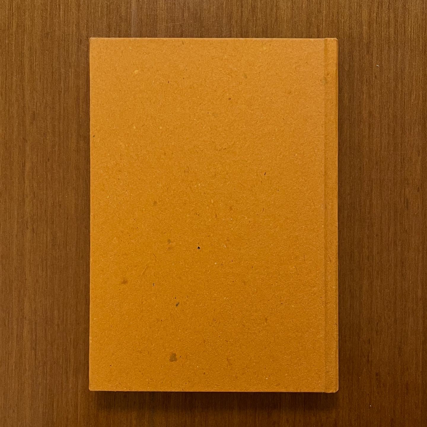 Diario Quaderno 10x15 copertina stampata Gatto Cucù 144 pagine a righe - immagine 10