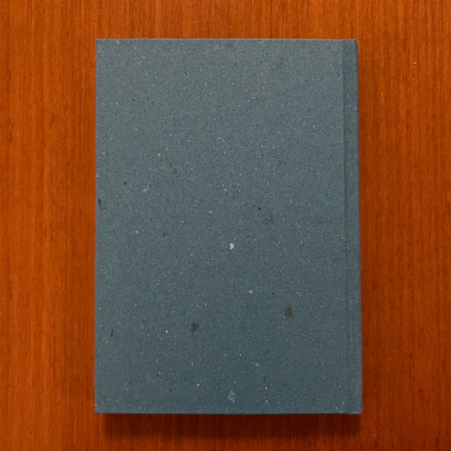 Diario Quaderno 10x15 copertina stampata Gatto Cucù 144 pagine a righe - immagine 4