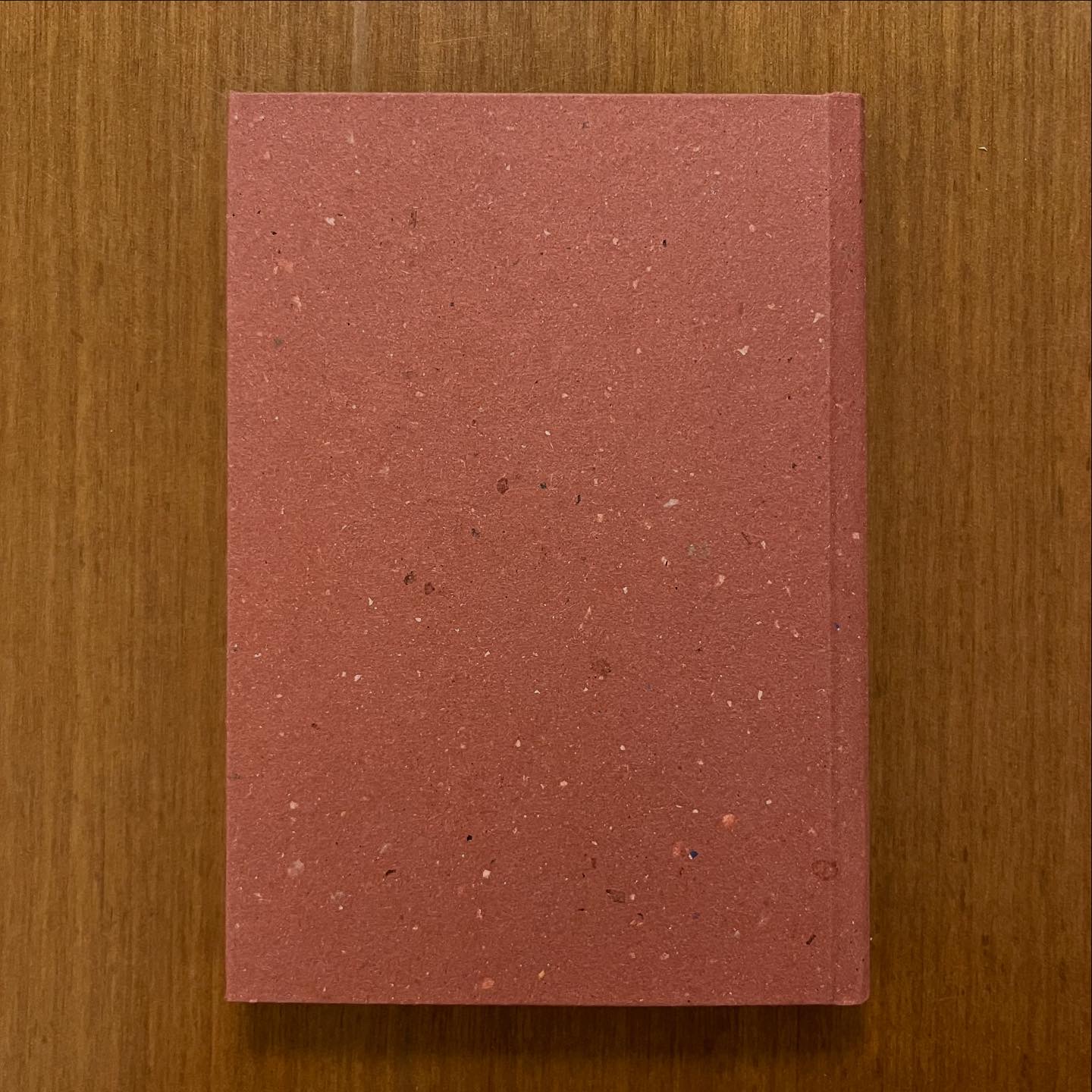 Diario Quaderno 10x15 copertina stampata Gatto Cucù 144 pagine a righe - immagine 8