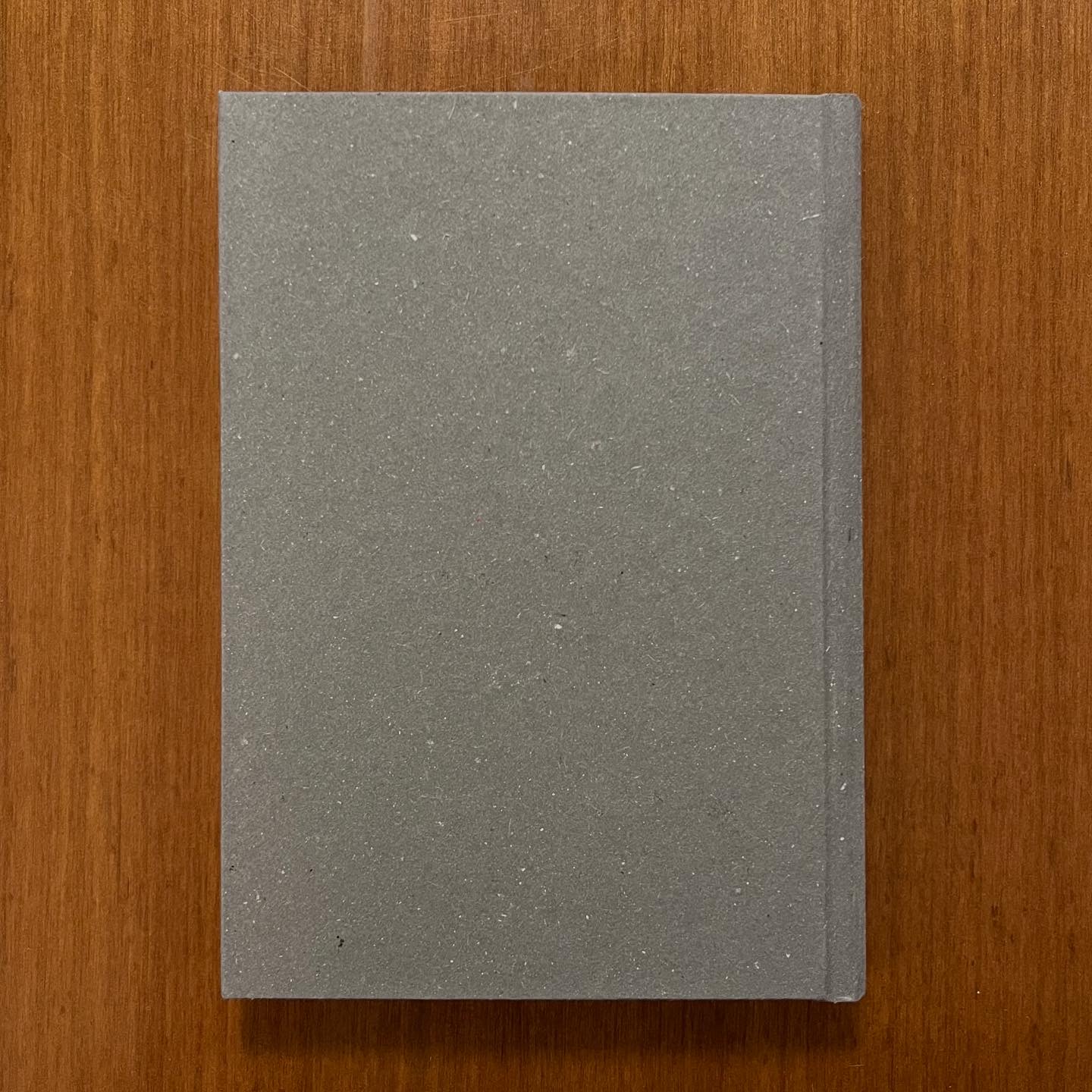 Diario Quaderno 10x15 copertina stampata Anubi 144 pagine a righe - immagine 8