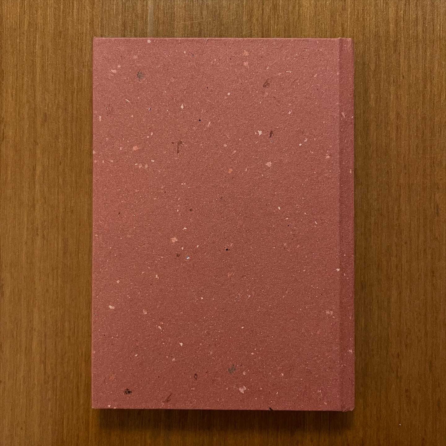 Diario Quaderno 10x15 copertina stampata Anubi 144 pagine a righe - immagine 6