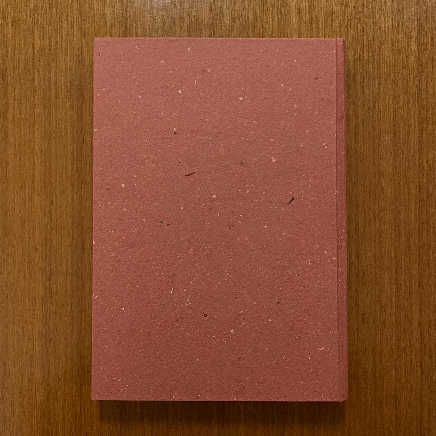 Diario Quaderno 15x21 copertina stampata I musicanti di Brema 288 pagine a righe - immagine 7