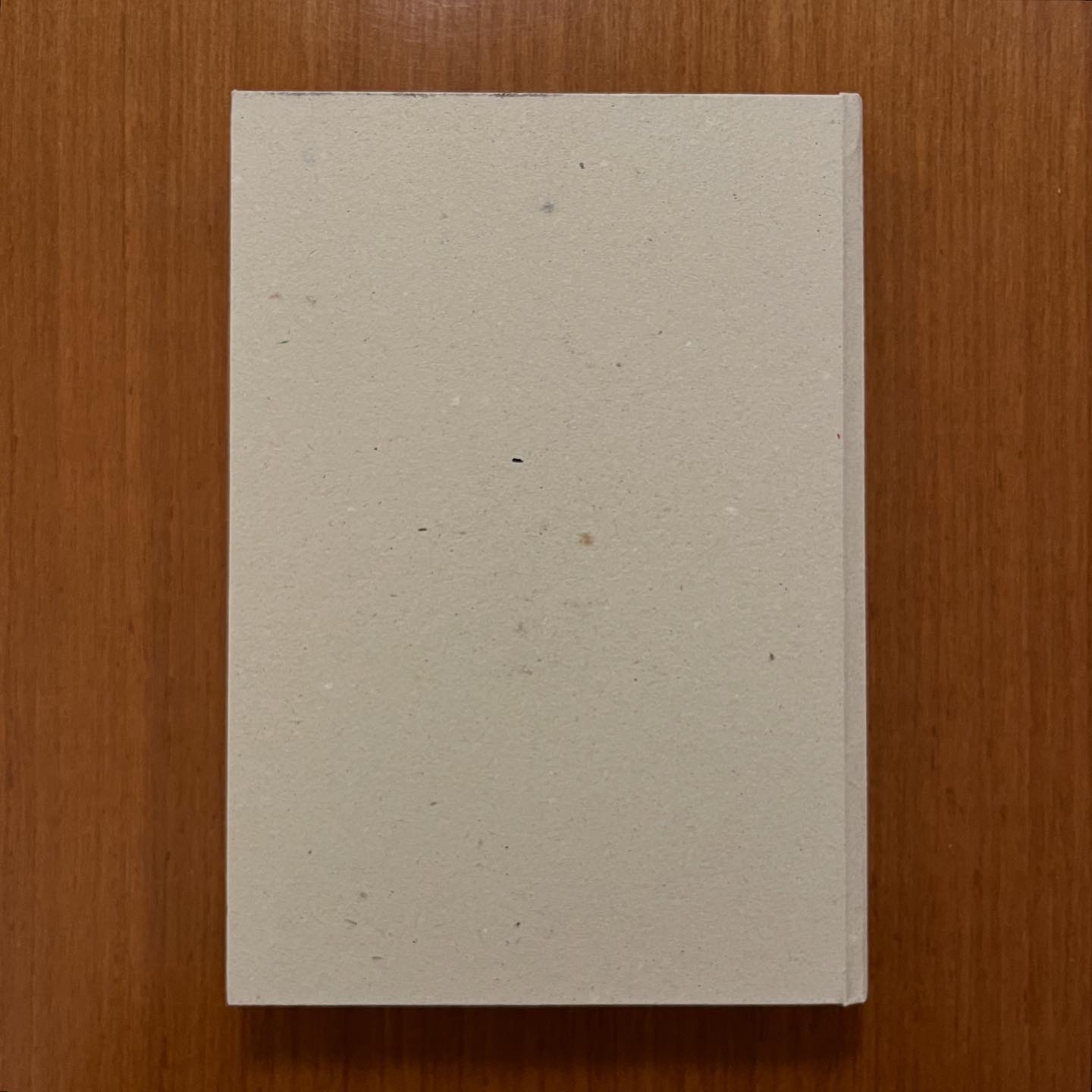 Diario Quaderno 15x21 copertina stampata I musicanti di Brema 288 pagine a righe - immagine 5