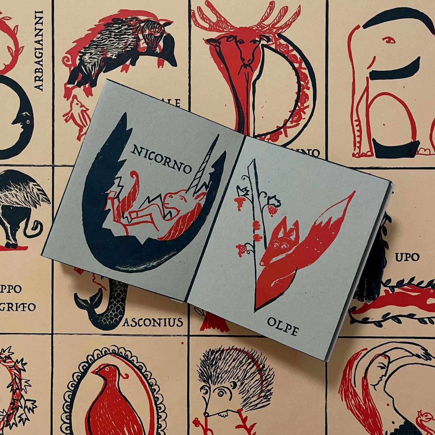 Serigrafia Alfabeto Bestiario 2 colori libro leporello - immagine 8